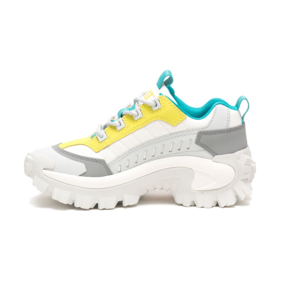 Oruga Intruso Zapato Glaciar Gris-azufre Primavera