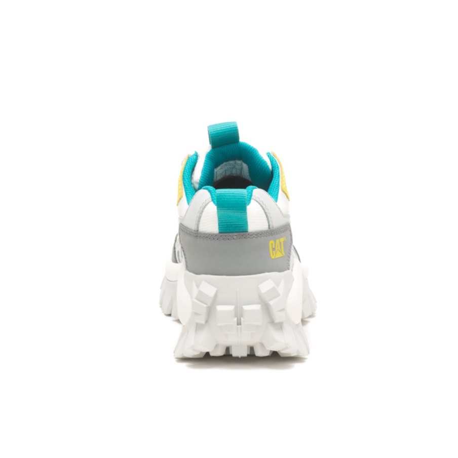 Oruga Intruso Zapato Glaciar Gris-azufre Primavera